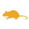 Mice Pest Control Dubai